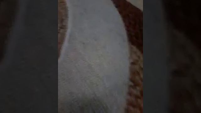 3 факта как ухаживать за сухопутной черепахой смотреть онлайн