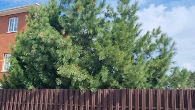 Монтаж забора из металлического штакетника с распашными автоматическими воротами. смотреть онлайн