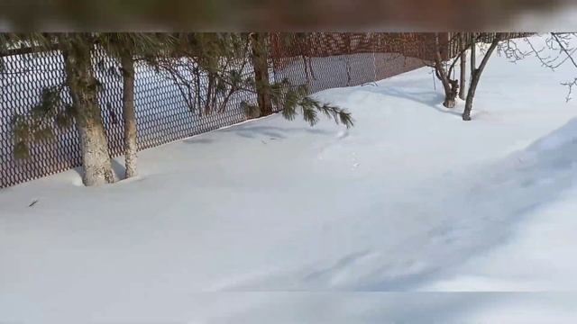 Купили новые зимние шины, поездка на дачу. У соседки сломало беседку. смотреть онлайн