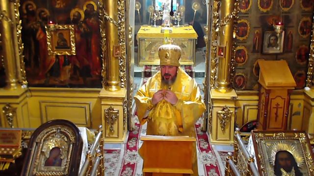 Проповедь митрополита Савватия в Неделю 22-ю по Пятидесятнице смотреть онлайн