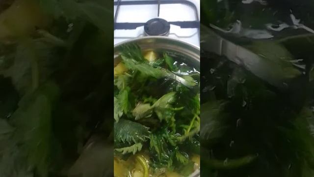 Суп из молодой крапивы со сметаной и черным хлебом