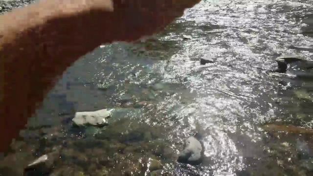 Test Panning Flood GOLD from moss S.2 episode 28 "pay-pans" смотреть онлайн