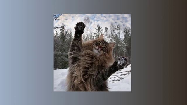 Макс Корж - Горы по колено | Speed up | смотреть онлайн