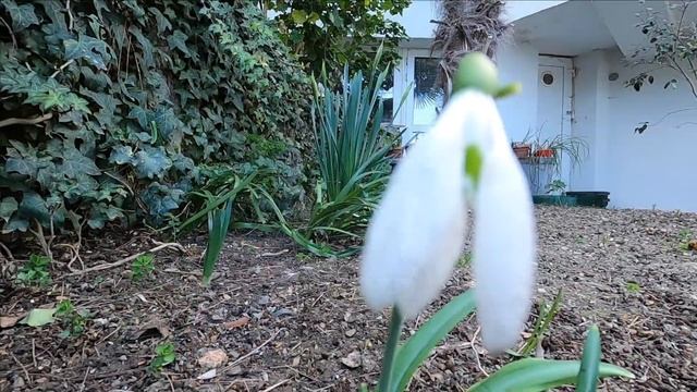 Крым 2023 .Вся набережная Приморский парк Выходной день в Ялте Крым весной смотреть онлайн