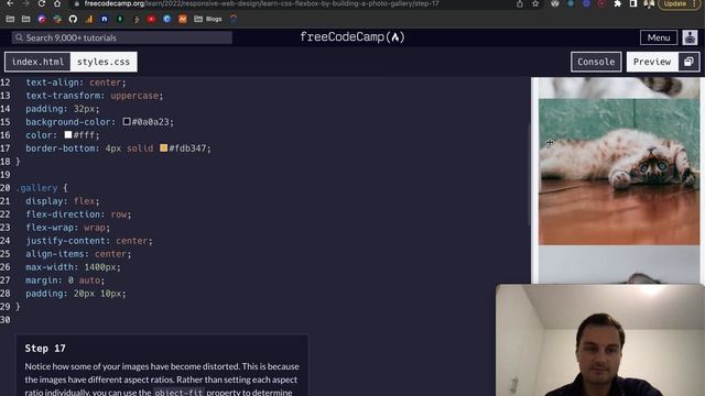 freeCodeCamp - Learn CSS Flexbox by Building a Photo Gallery (11-21) смотреть онлайн