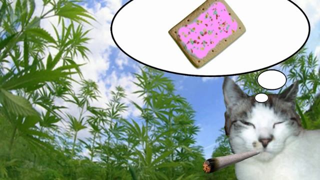 Nyan 420 - Nyan Cat Origin смотреть онлайн