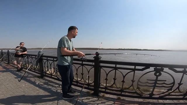 ДОНКА. НАЛИМ. ЯЗЬ. ОСЁТР И СТЕРЛЯДЬ. смотреть онлайн