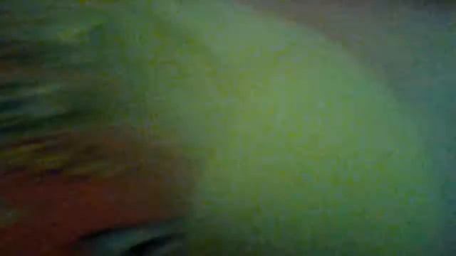 Angry birds Rio2 смотреть онлайн