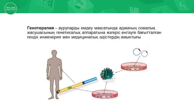 10 класс Биология АбдыкалыковаС Гендік инженерияның маңызы смотреть онлайн