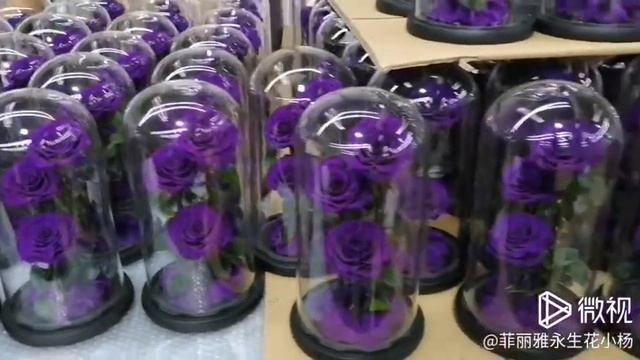 everylove Purple preserved rose flower in glass dome смотреть онлайн