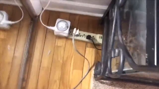 NEW BALL PYTHON SETUP смотреть онлайн