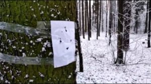 Охота на ворон с пистолетом «Искра» | PCP Пневматика до 7,5 ДЖ