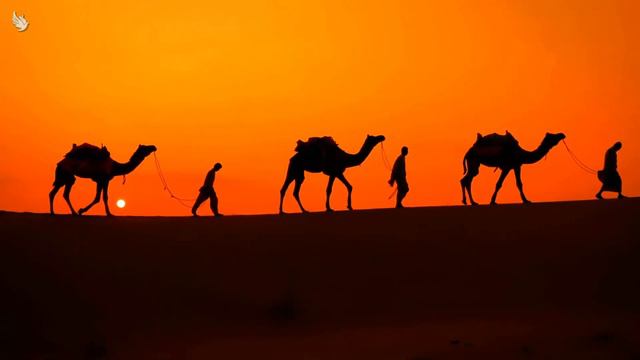 111Hz Desert Sunset Camel Drivers Healing Energy
