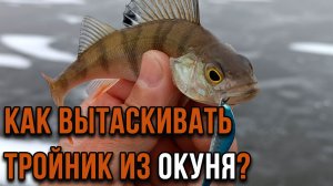 Как вытаскивать тройник из окуня?
