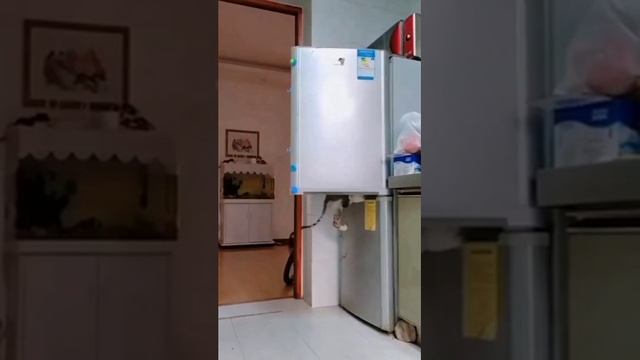 VID_20231108_080934_482.mp4