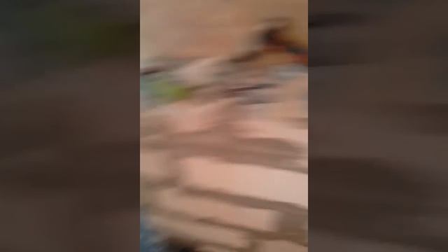 Евро ремонт от Джамшута смотреть онлайн