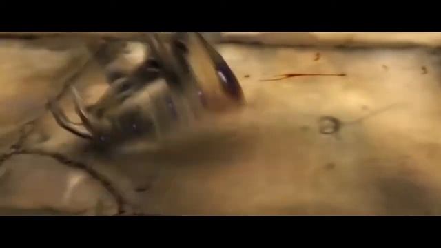 CENOBITE - Летаргический сон