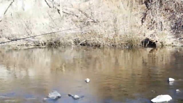 Весенний клёв щуки!!! смотреть онлайн