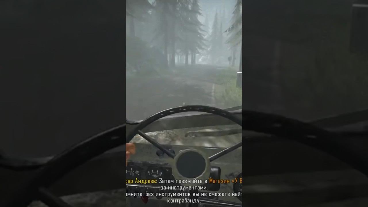 Пограничник работающий за гроши #funny #game #policesimulator #funnymoments смотреть онлайн