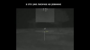 Охота на шакала и лису в горах Дагестана, Леший 2 + Pard sa32-25 LRF