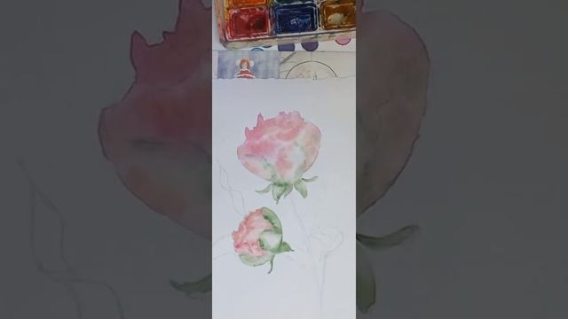 Пионы Акварелью смотреть онлайн