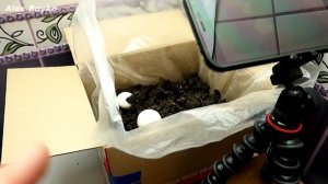 Можно ли измерить температуру Бенгальского огня? Пирометр из Китая. alex boyko