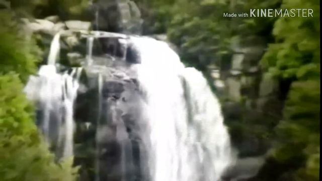 ПРИРОДА США Водопад смотреть онлайн