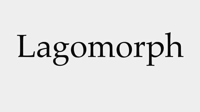 How to Pronounce Lagomorph смотреть онлайн
