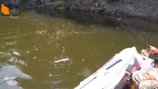 Сплав по реке. Рыбалка продолжается Часть 3 смотреть онлайн