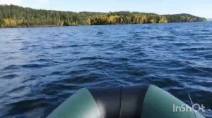 Лодка Пеликан 280 нднд, первый выход на воду!