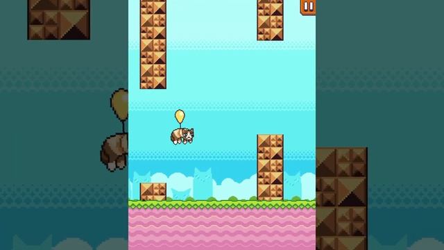 Grumpy Cat world record (I think) смотреть онлайн