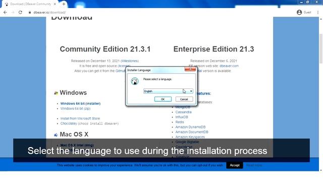 Download and Install Dbeaver Community 21.3 on Windows 7 смотреть онлайн