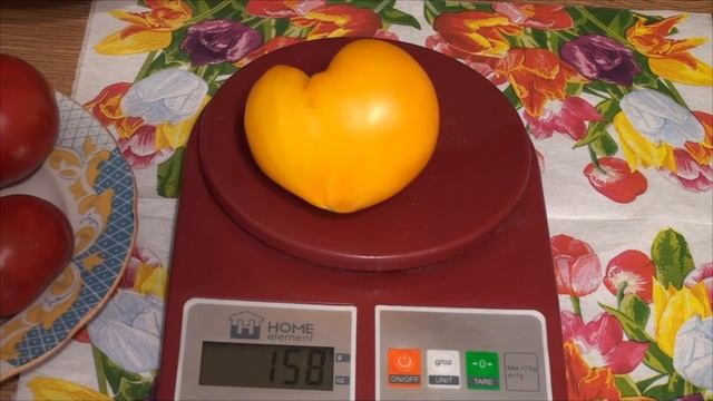 ТОП 7 томатов в разрезе и обзор на кустах ! Часть 1. смотреть онлайн