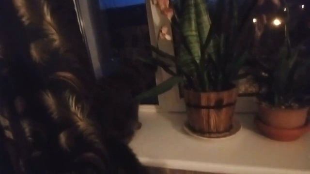 прогулка/спальня/минимализм 60-х/тумба/мистика/ смотреть онлайн