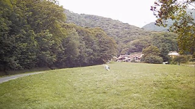 scale md 500 sigirino смотреть онлайн