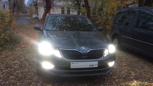 Диодные стробоскопы через ПТФ на Skoda Octavia A7FL смотреть онлайн
