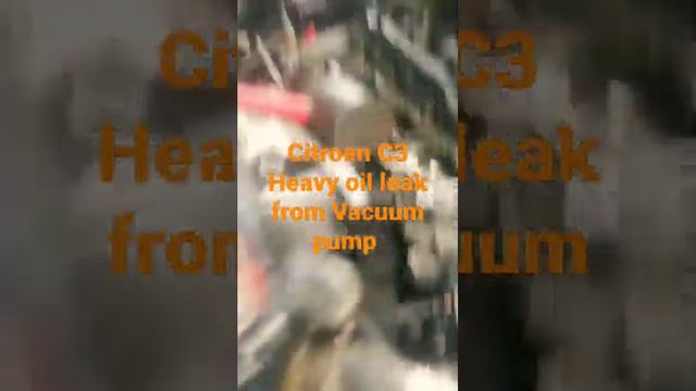 Citroen C3 Heavy Oil Leak From Vacuum Pump Seal .. Seal Replacement