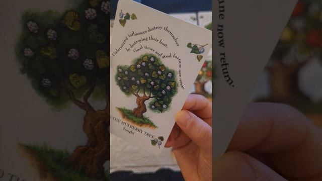 The magick tree oracle extraction for every sign in particular for November 2022. Find your message смотреть онлайн