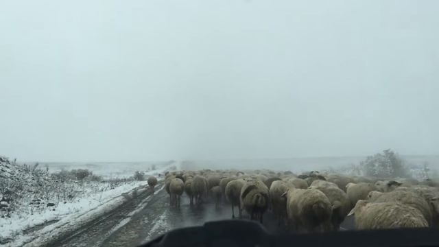 Towards Tatev Vanq смотреть онлайн