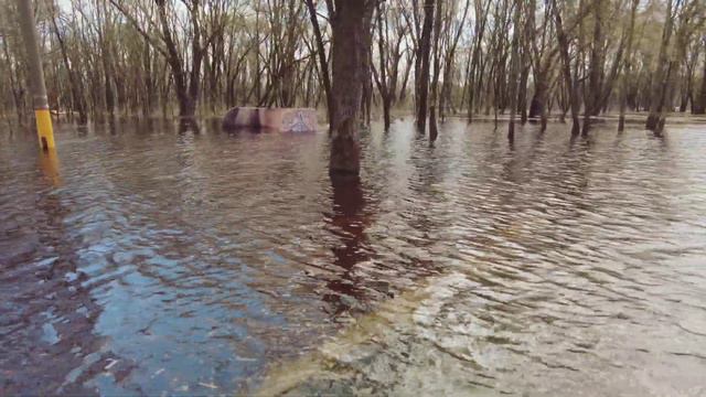 Половодье реки "Сож" смотреть онлайн