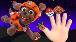 Paw Patrol Finger Family Song | Nursery Rhymes & Kids Songs | Paw Patrol Mighty Pups Cartoon Nick.J