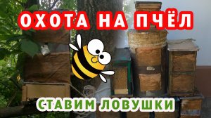 ОХОТА НА ПЧЁЛ СЕЗОН 2024