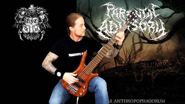 Parental Advisory - 78.9% bass playthrough смотреть онлайн