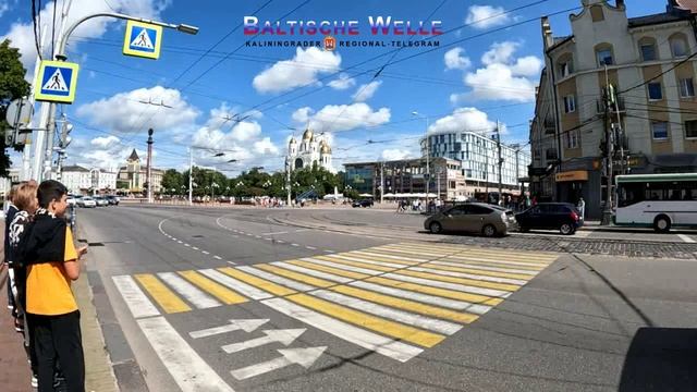 Frieda In Kaliningrad - Exkursionsplanung