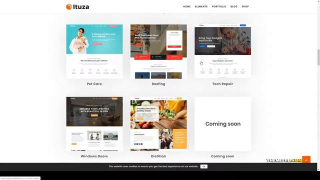 Ituza - Multi-Concept Theme for Service Businesses medical car service Build Website смотреть онлайн