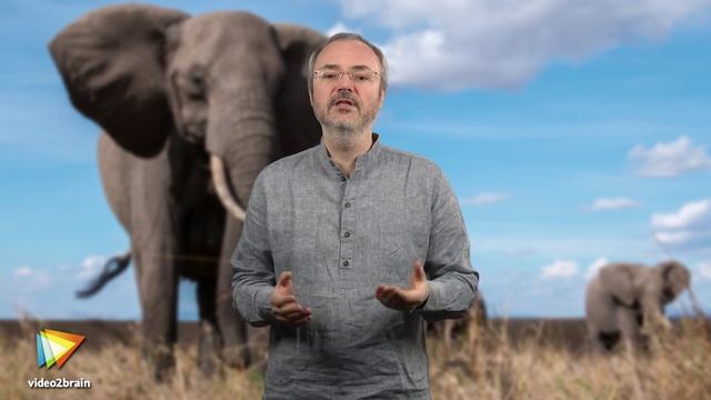 Découverte de PostgreSQL - trailer | video2brain.com смотреть онлайн