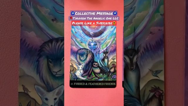 Old Souls? #collective #tarot #oracle #energyreading #shortvideo #divine смотреть онлайн