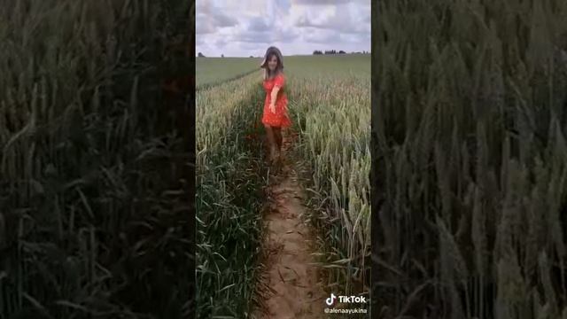 Мудрый совет мужчины "Ах, бросьте, бабоньки... " смотреть онлайн