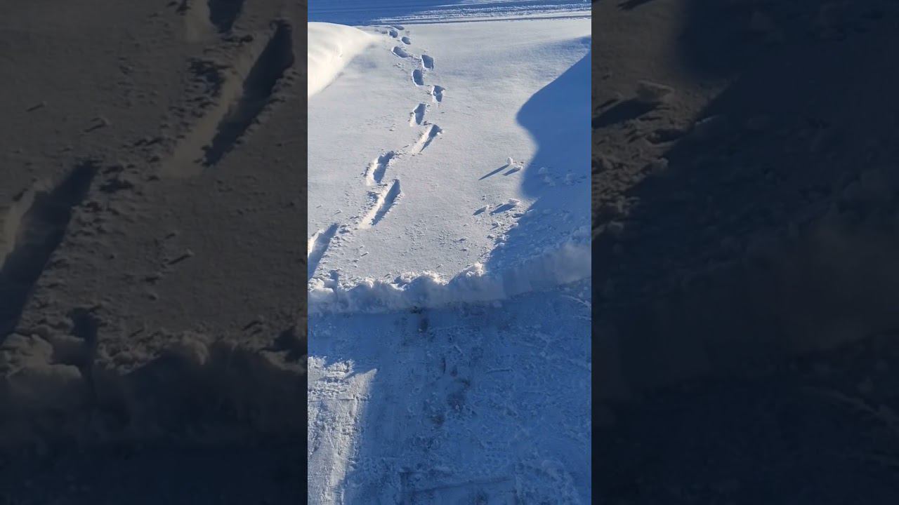 Ох уж эта погода! #мастерская #ремонтинструмента #youtube смотреть онлайн