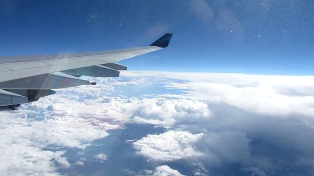 Azerbaijan Airlines flight from Moscow (DME) to Baku (GYD) on Airbus A340-500. смотреть онлайн